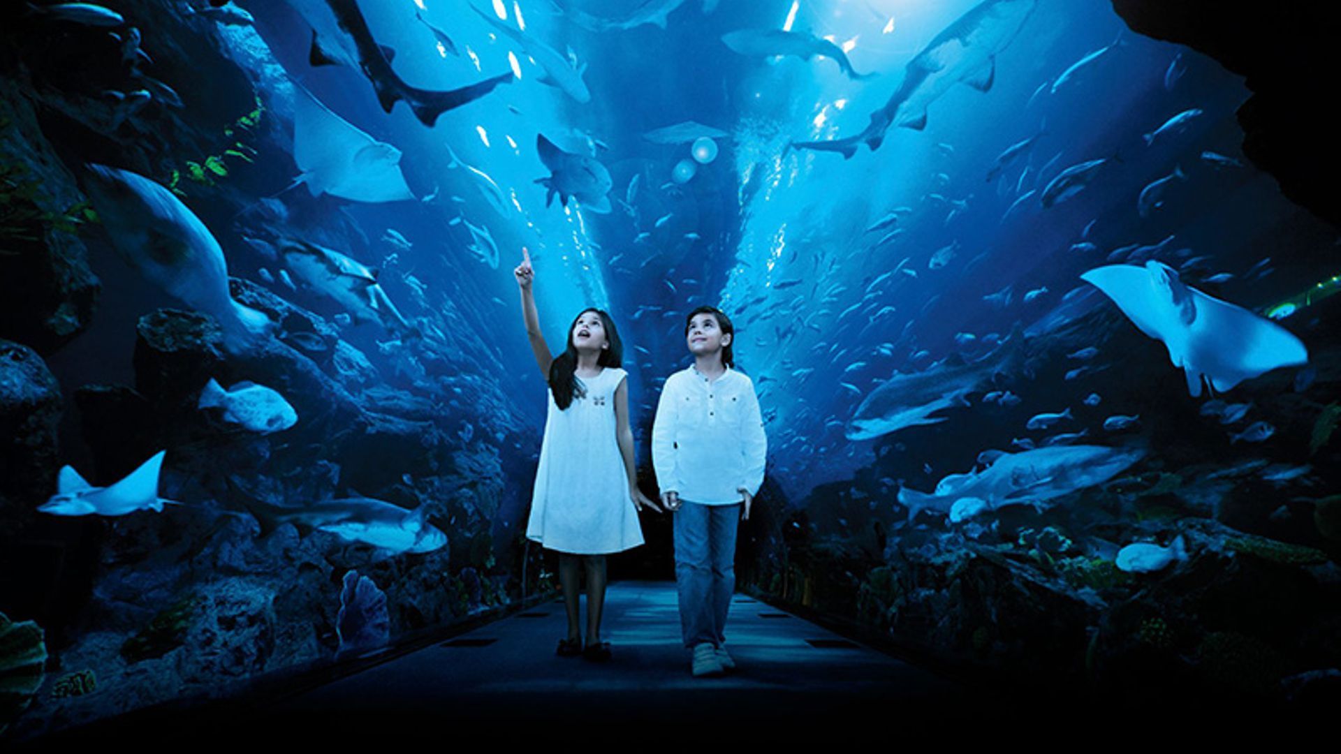 مغامرة لا تُنسى في حدائق الحيوانات والاكواريو...