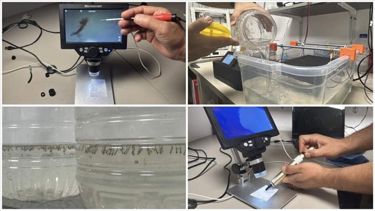 ابتكار تركي للقضاء على البعوض باستخدام الأموا...